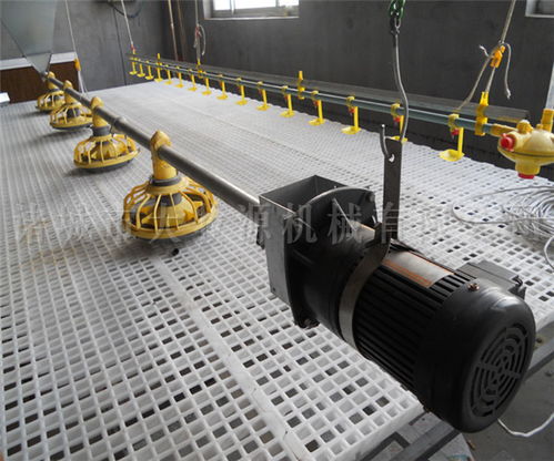 諸城大牧源機(jī)械 養(yǎng)雞自動化養(yǎng)殖設(shè)備型號及農(nóng)林牧漁機(jī)械配件制造解析