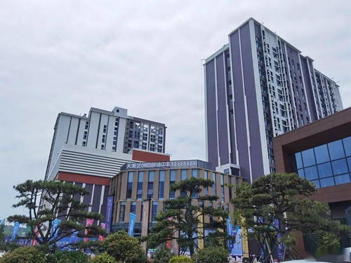 青島網(wǎng)紅新地標(biāo) 時(shí)尚街區(qū)藍(lán)圖初現(xiàn)，工業(yè)遺存煥發(fā)新生機(jī)